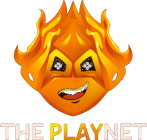 The PlayNet