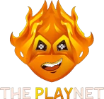 The PlayNet